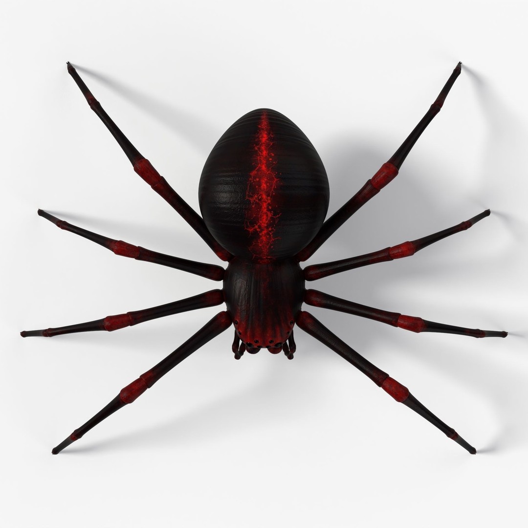 Rigged Spider 3D Model – Low Poly Creature with 8K PBR Textures, FBX - View 6
