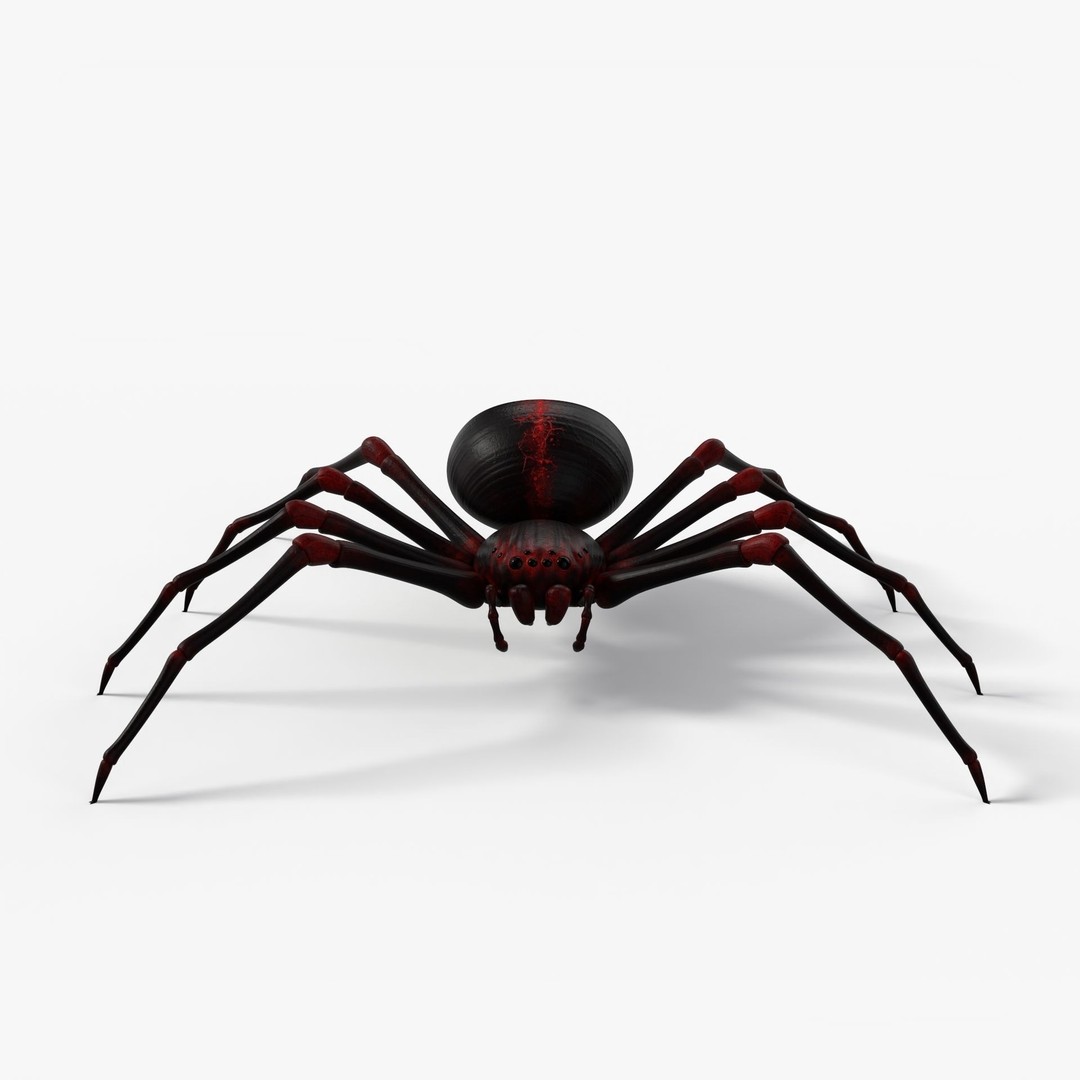 Rigged Spider 3D Model – Low Poly Creature with 8K PBR Textures, FBX - View 7