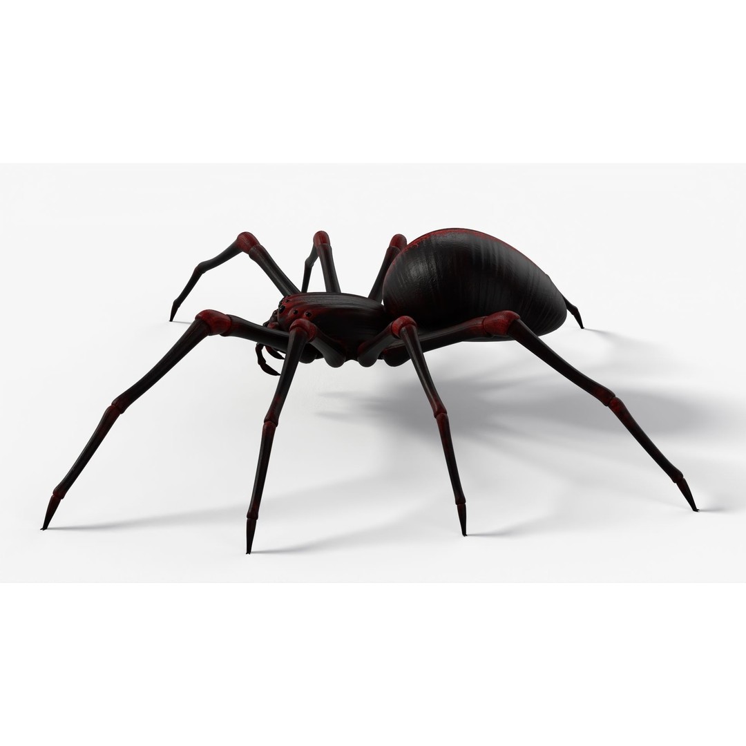 Rigged Spider 3D Model – Low Poly Creature with 8K PBR Textures, FBX - View 8