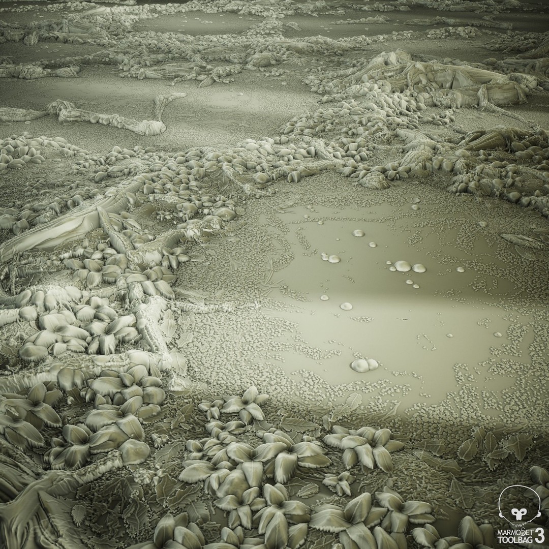 Swamp PBR 3D Model – Tileable Material Texture for Game Art - View 10