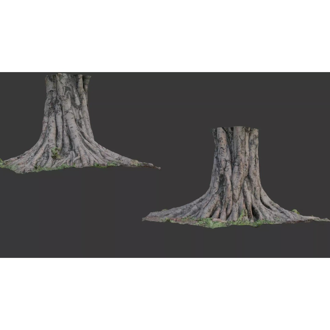 Massive Tree Trunk 3D Model – Low Poly Scanned Asset, PBR Textures - View 2