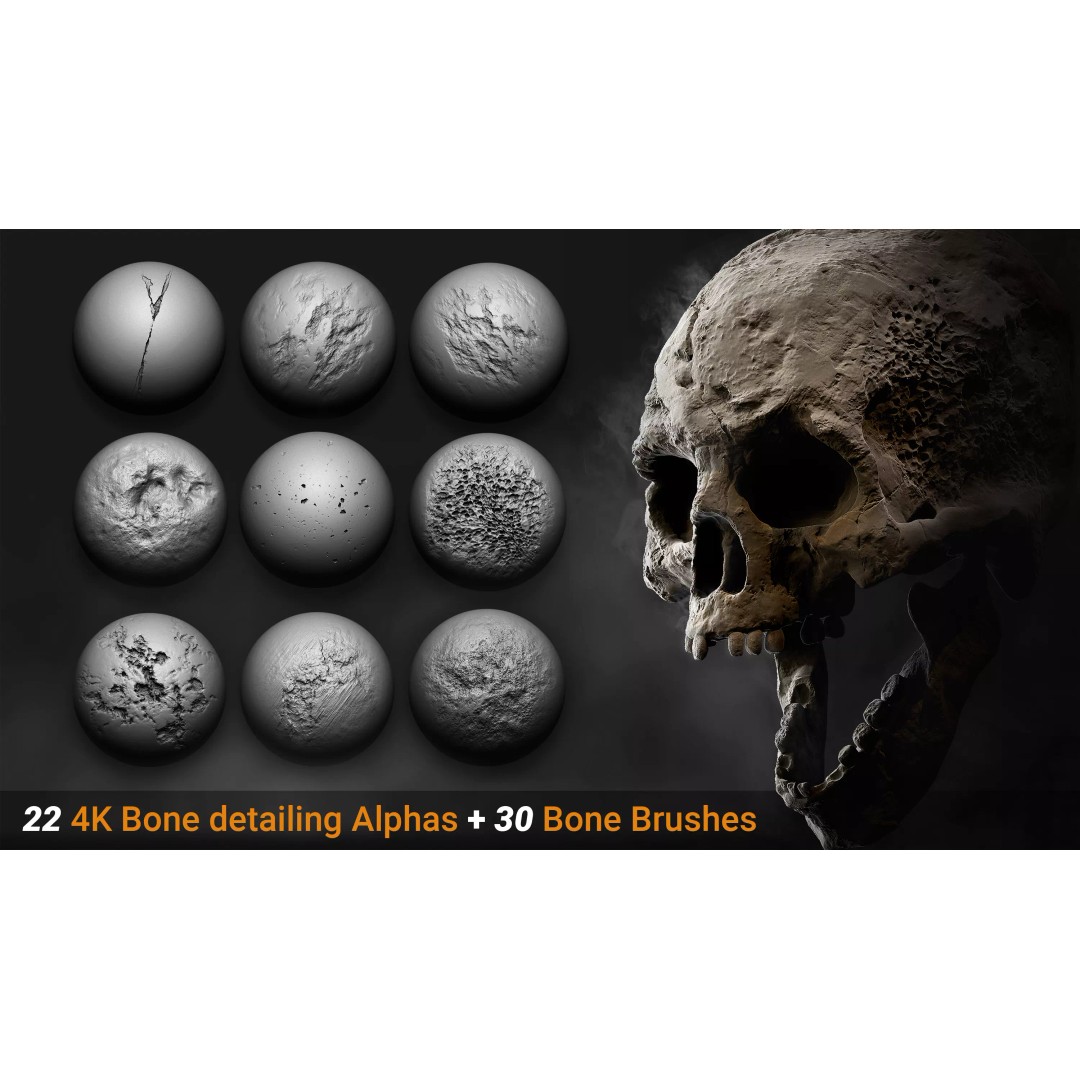 Bone Detailing Brushes 3D Model – Alphas and Multi-Purpose Tools for ZBrush and Blender - View 2