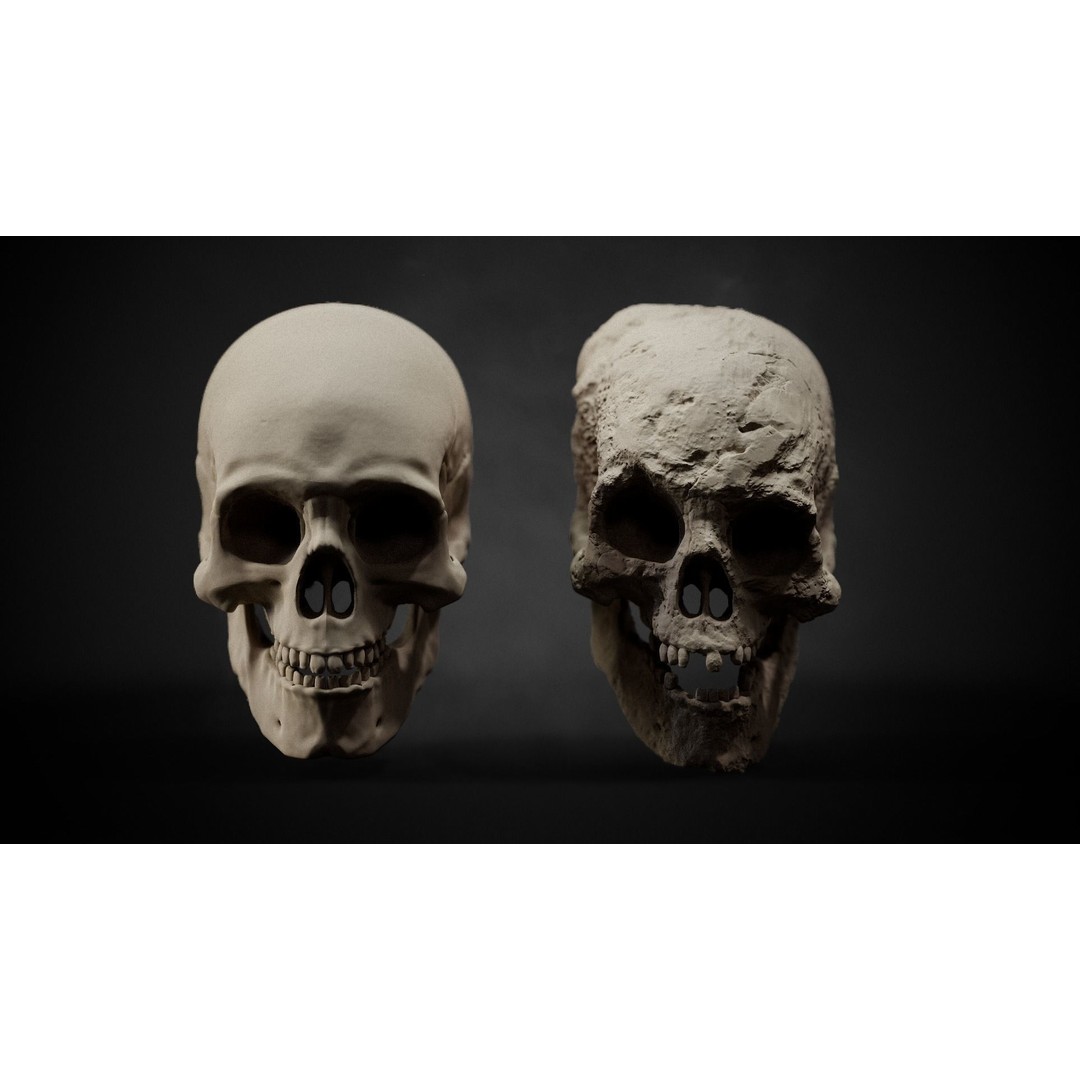 Bone Detailing Brushes 3D Model – Alphas and Multi-Purpose Tools for ZBrush and Blender - View 3