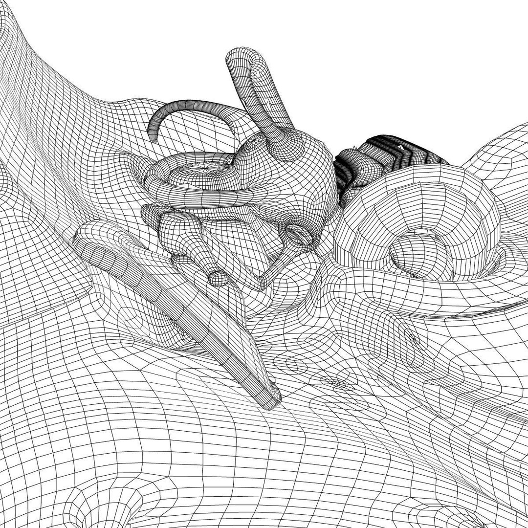 Human Ear Anatomy 3D Model – Detailed Medical Asset, FBX