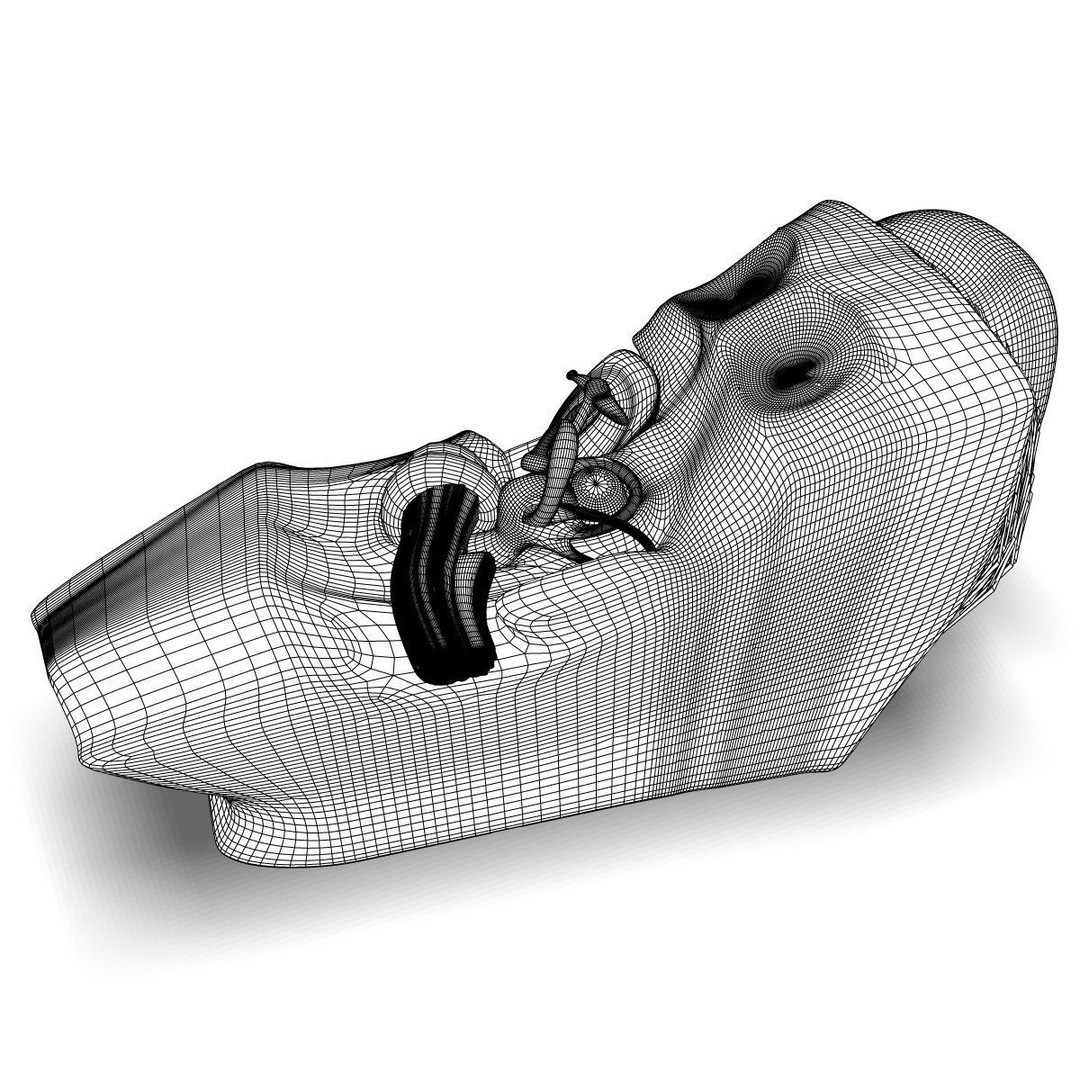 Human Ear Anatomy 3D Model – Detailed Medical Asset, FBX - View 6