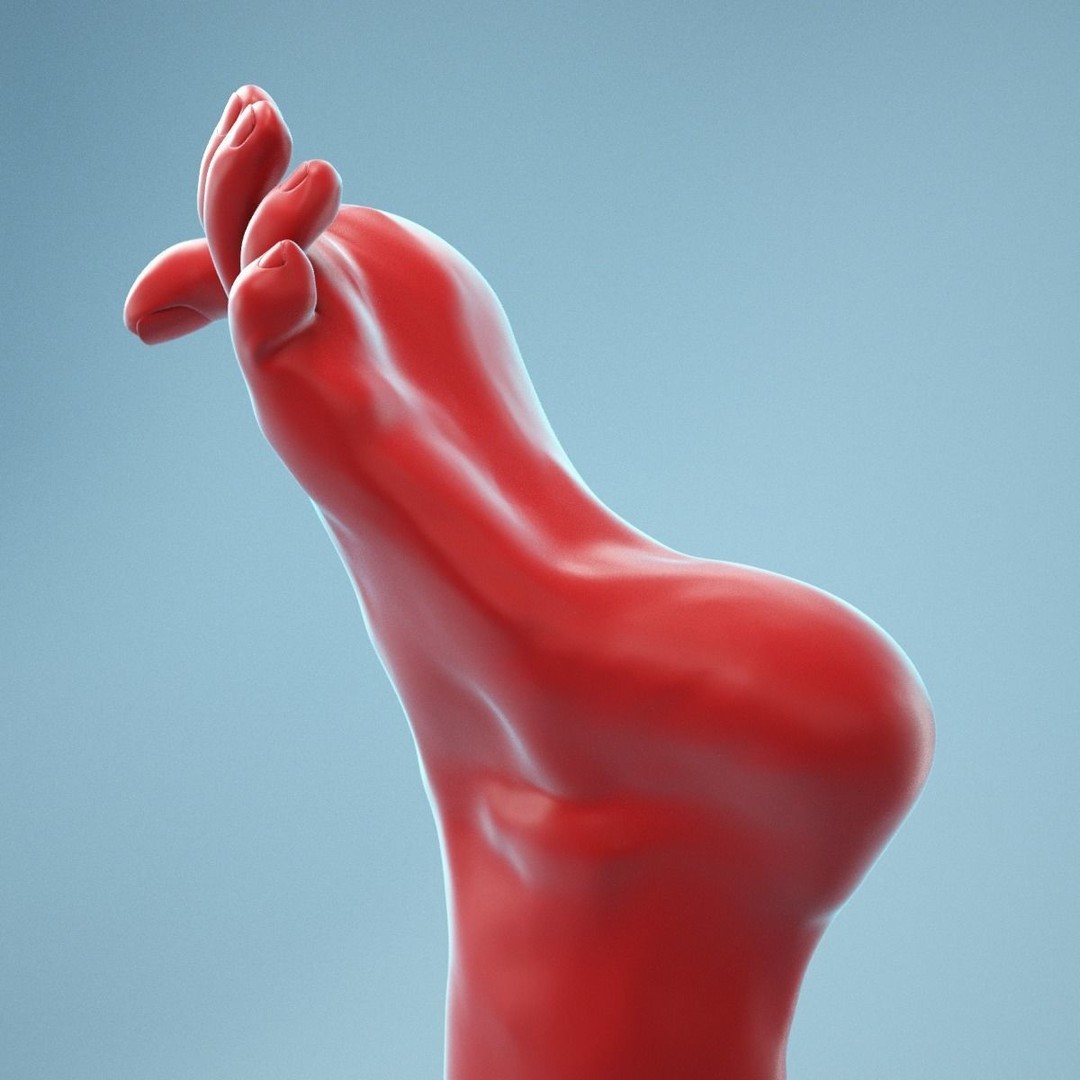 Big Toe Pointing 3D Model – Realistic Foot Anatomy, High Poly Formats