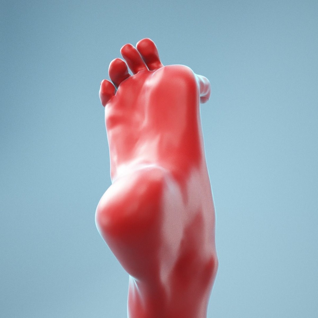 Big Toe Pointing 3D Model – Realistic Foot Anatomy, High Poly Formats - View 10