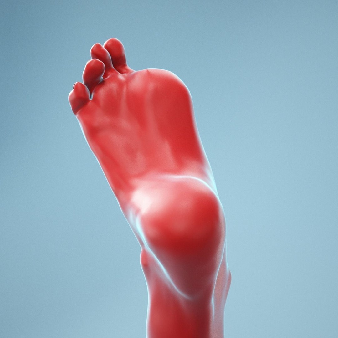 Big Toe Pointing 3D Model – Realistic Foot Anatomy, High Poly Formats - View 11
