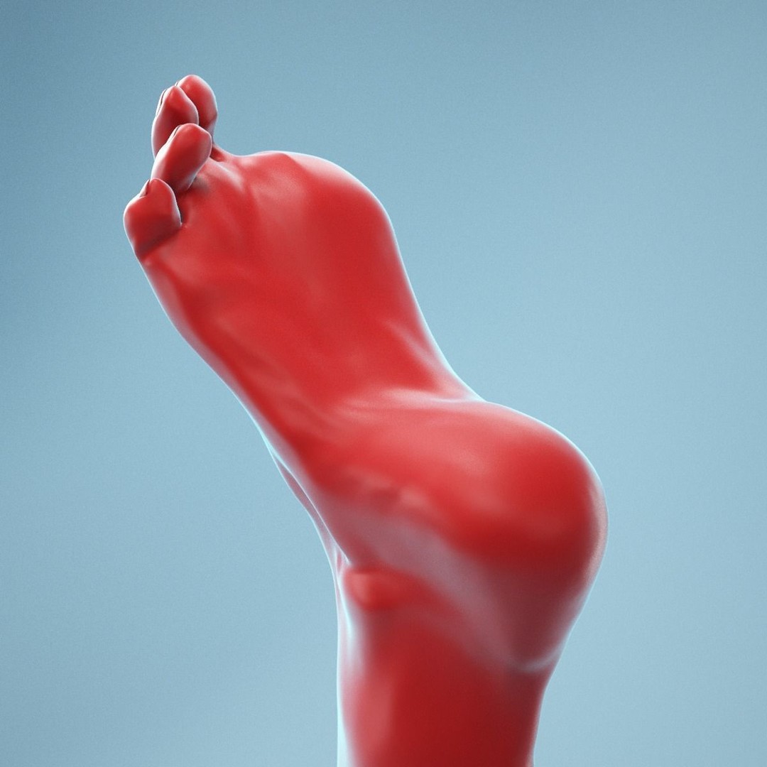 Big Toe Pointing 3D Model – Realistic Foot Anatomy, High Poly Formats - View 12