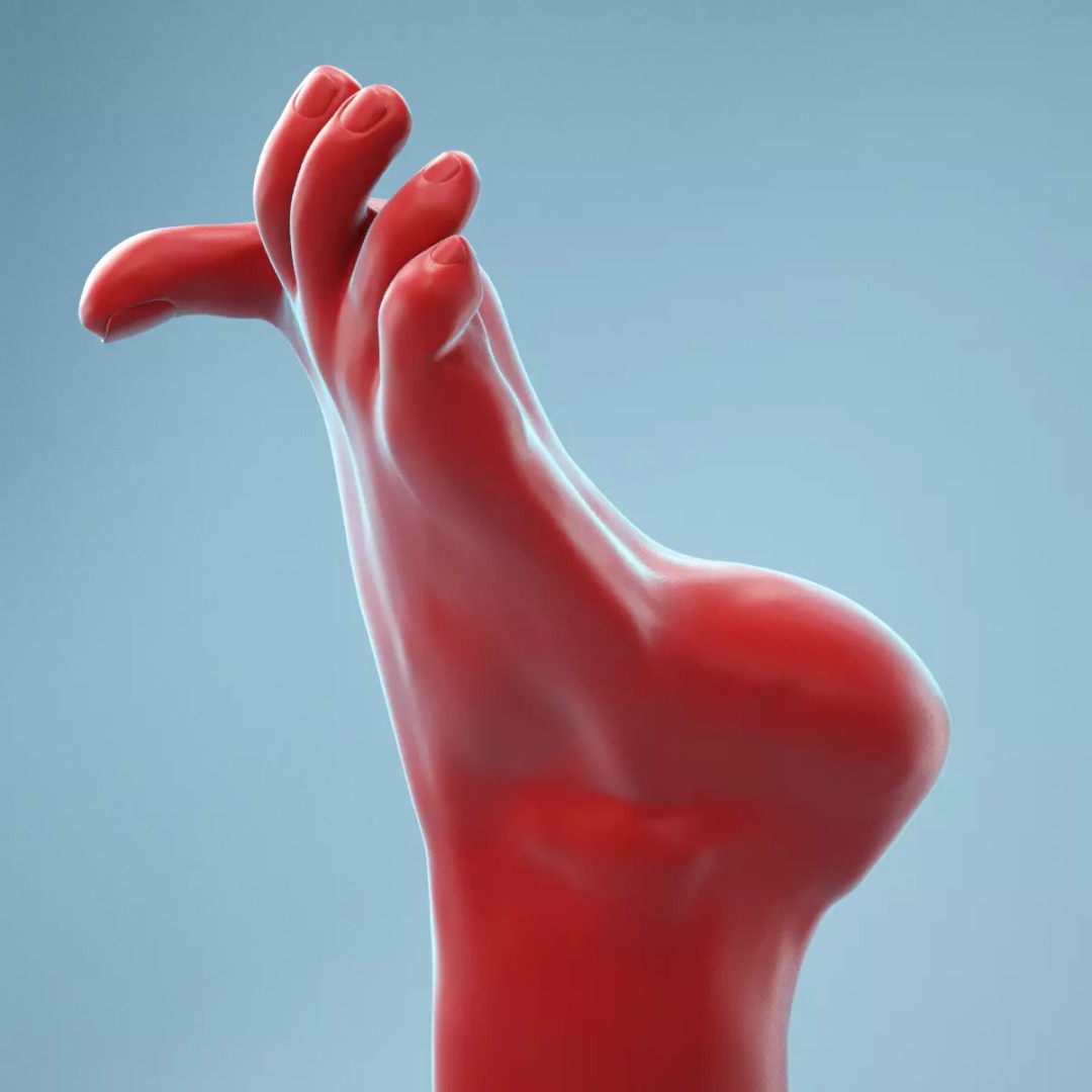 Big Toe Pointing 3D Model – Realistic Foot Anatomy, High Poly Formats - View 2