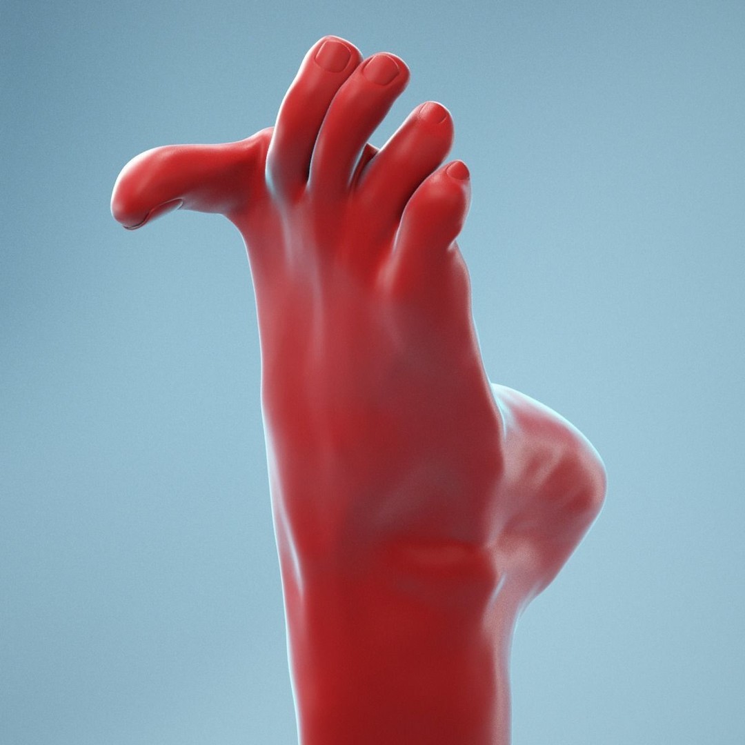 Big Toe Pointing 3D Model – Realistic Foot Anatomy, High Poly Formats - View 3