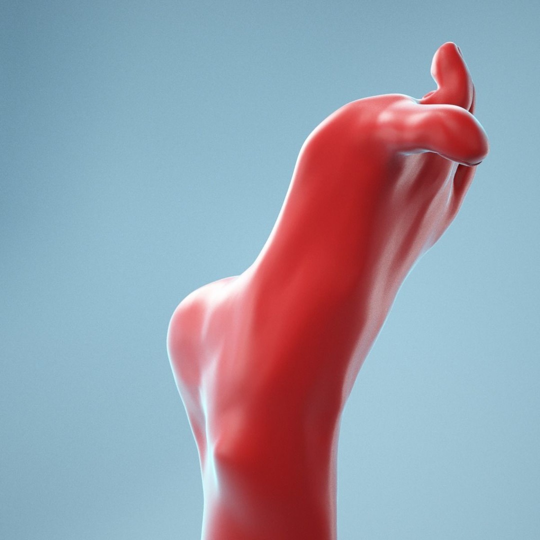 Big Toe Pointing 3D Model – Realistic Foot Anatomy, High Poly Formats - View 6