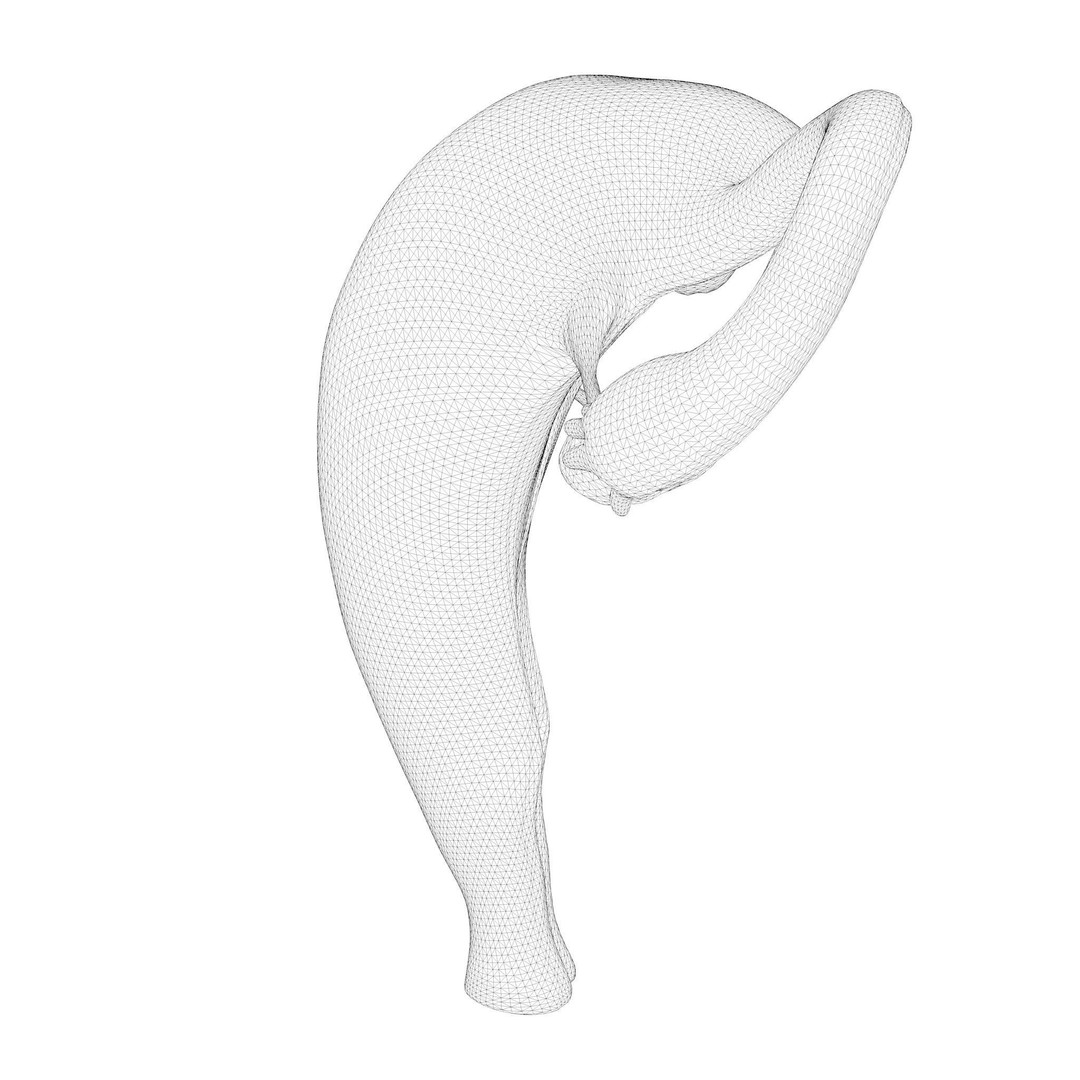 Female Reproductive System 3D Model – Anatomical Detailed Asset, FBX/OBJ - View 12