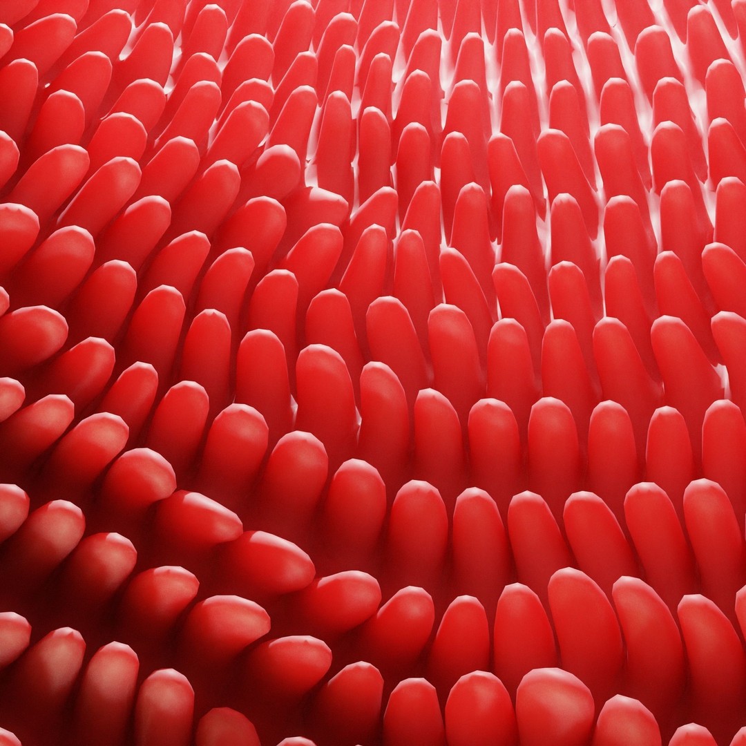 Intestinal Villi 3D Model – Animated Anatomy Asset in FBX, OBJ Formats - View 3