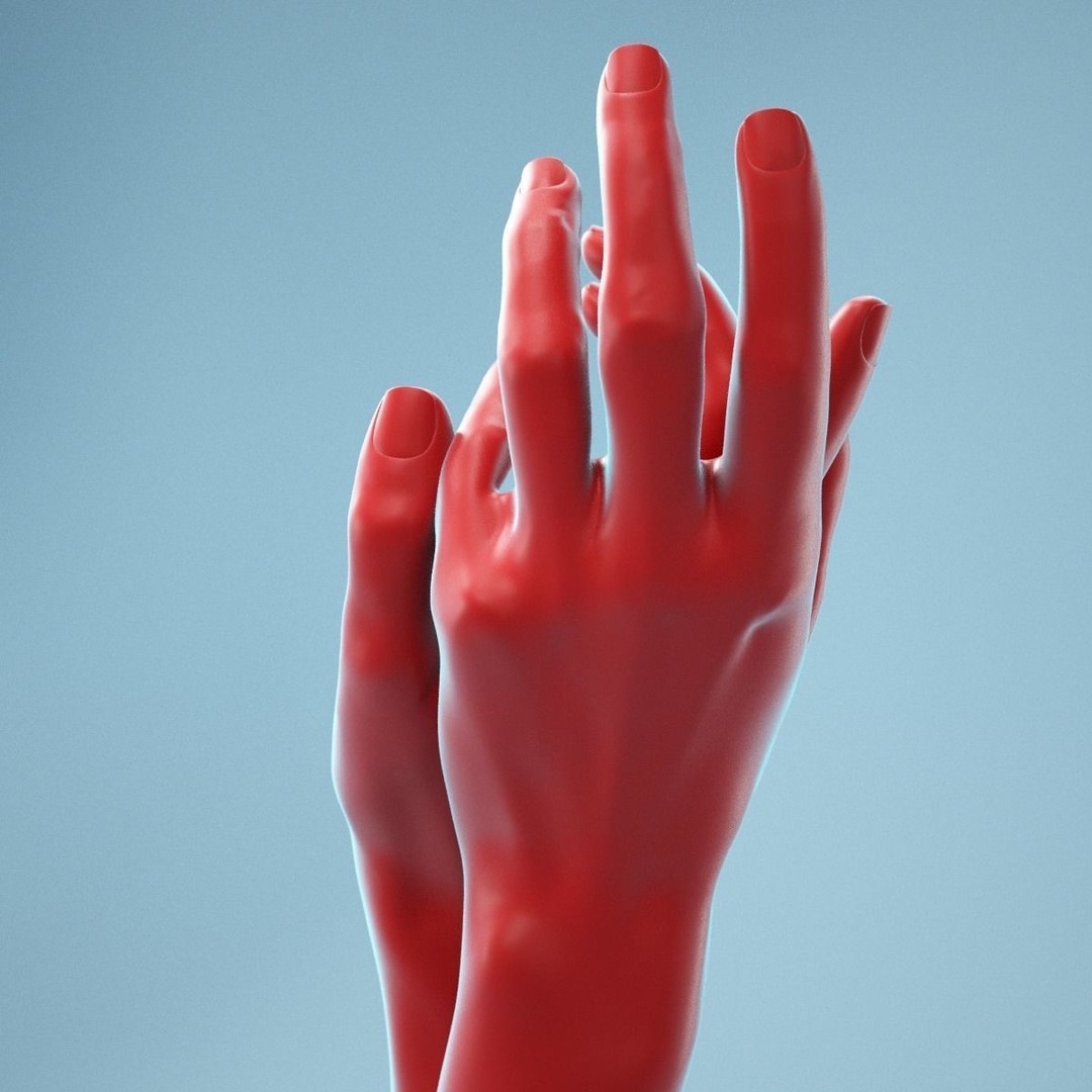 Gentle Pose Realistic Hand 3D Model – High Poly PBR Asset, FBX, OBJ - View 10