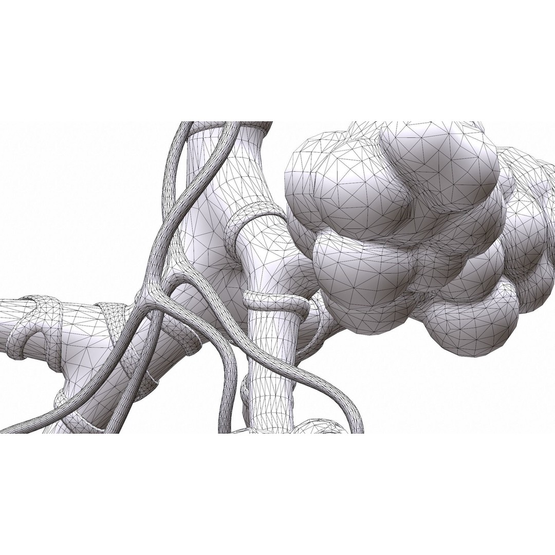 Realistic Human Bronchi Alveoli Anatomy 3D Model – PBR Medical Asset, FBX