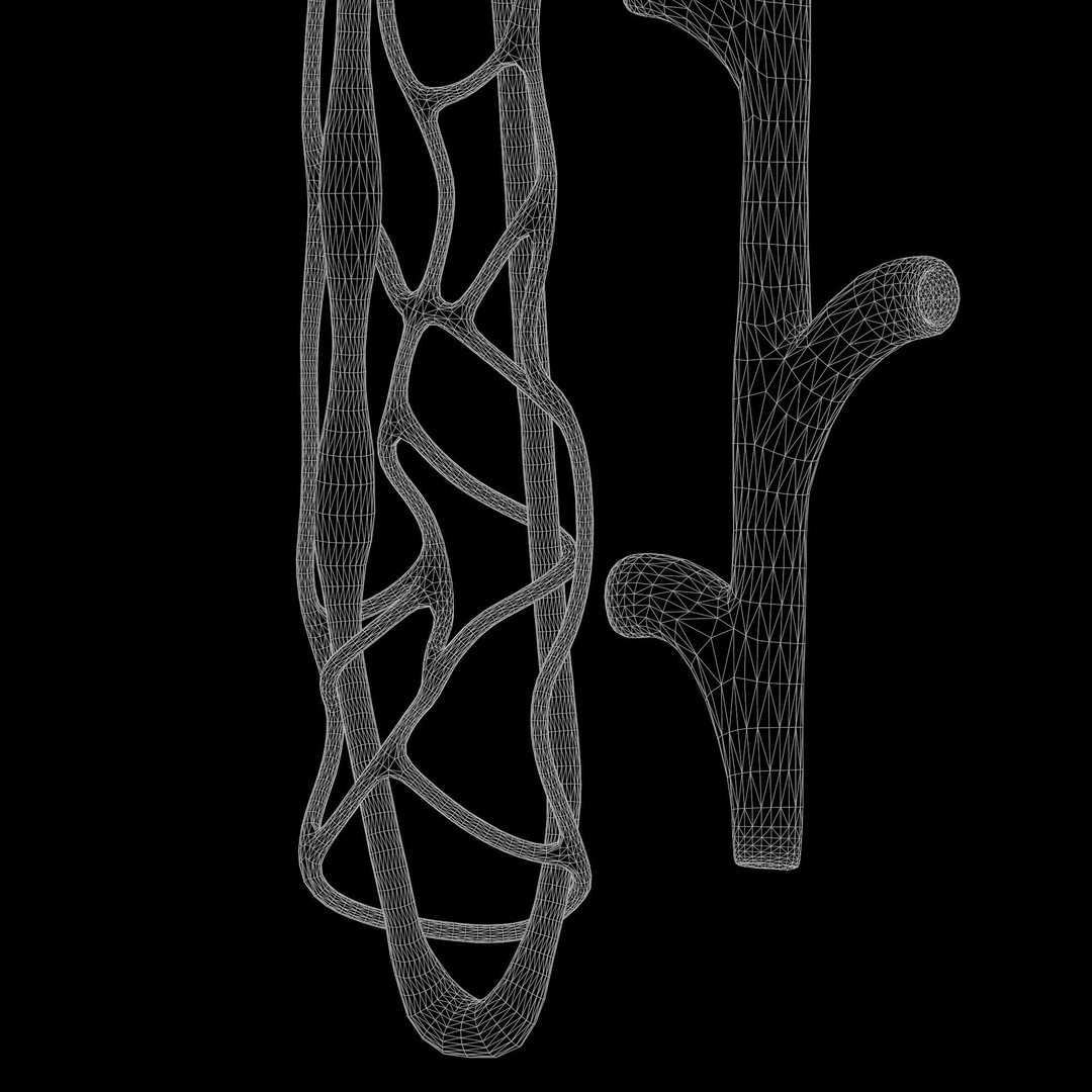 Kidney Nephron 3D Model – High Poly PBR Asset, FBX, OBJ - View 10