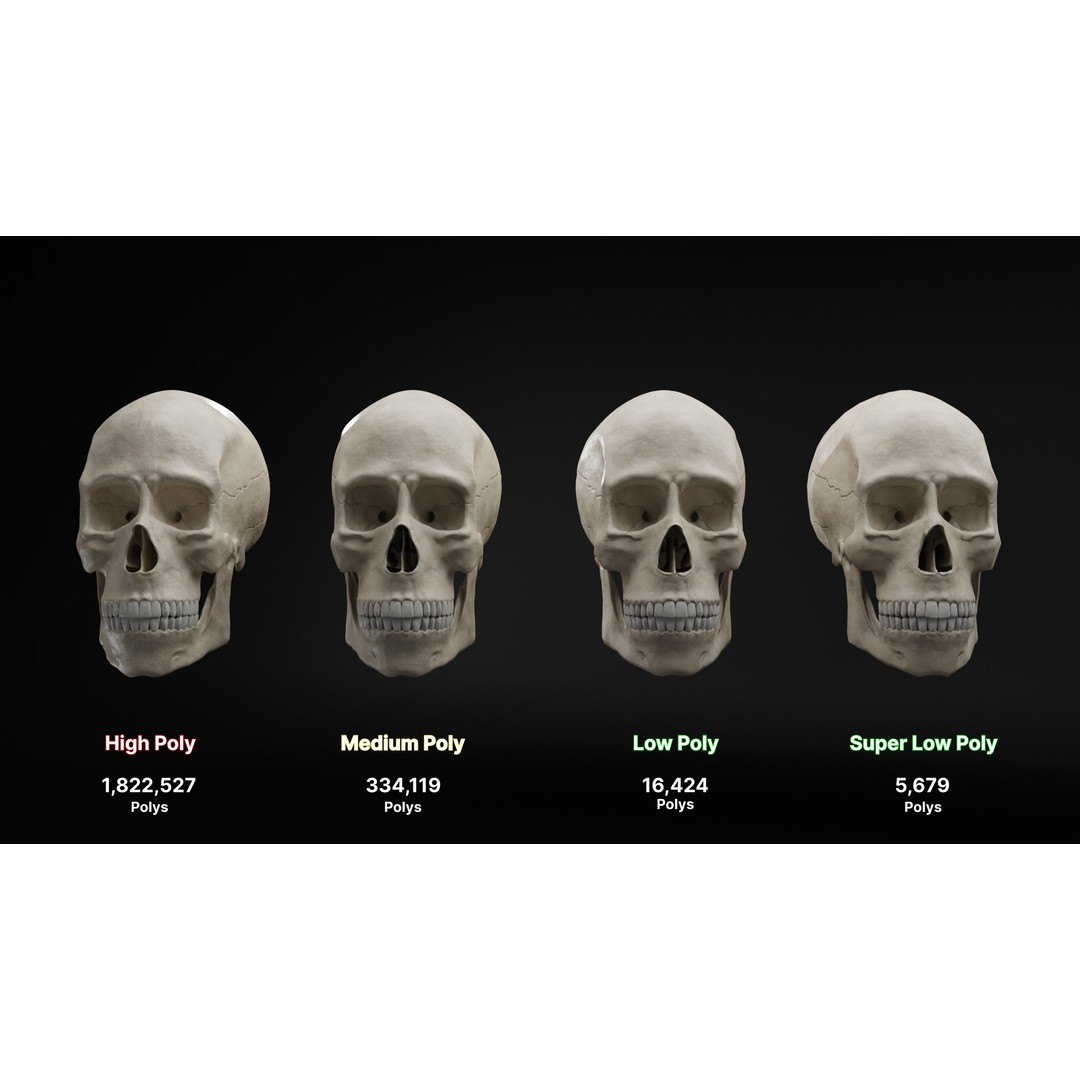 Realistic Human Skull 3D Model – High Poly, Low Poly Variants, PBR Textures - View 8