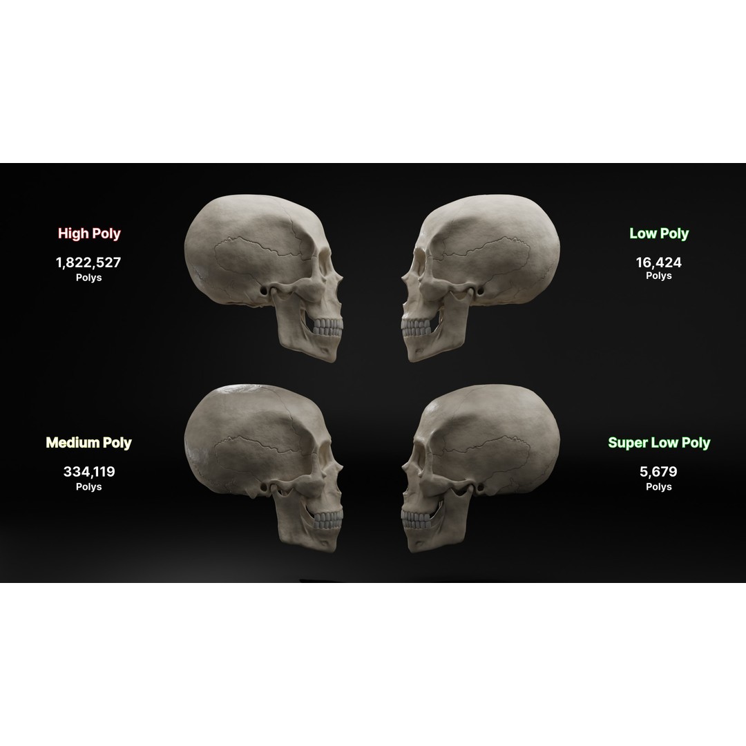 Realistic Human Skull 3D Model – High Poly, Low Poly Variants, PBR Textures - View 9