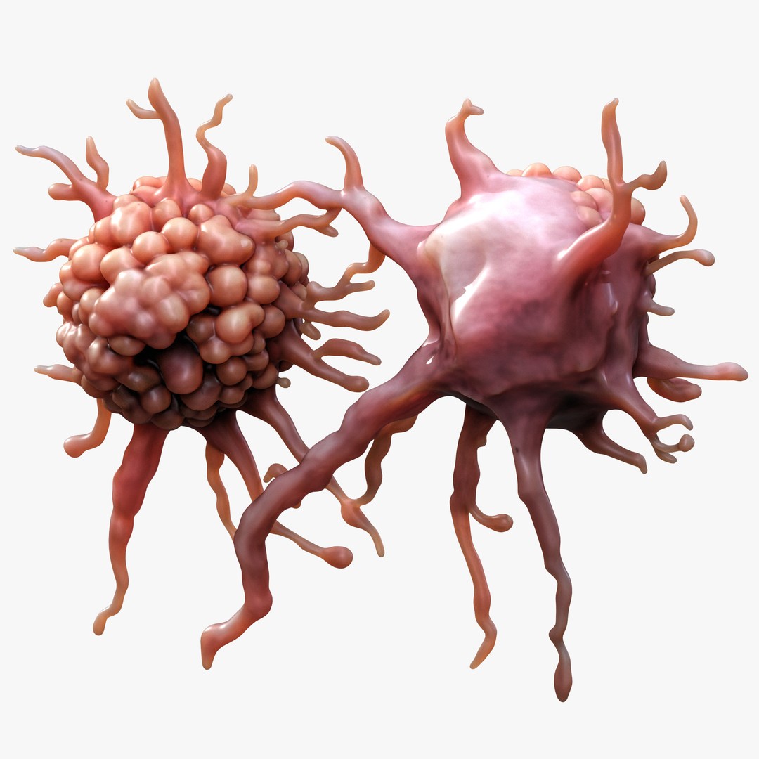 Cancer Cell Tumor 3D Model – High Poly PBR Asset, FBX, OBJ, Blender - View 4