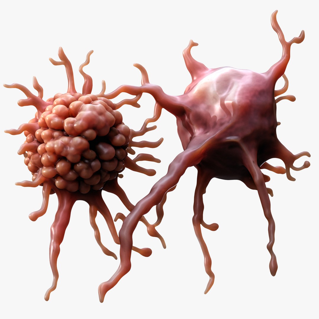Cancer Cell Tumor 3D Model – High Poly PBR Asset, FBX, OBJ, Blender - View 6