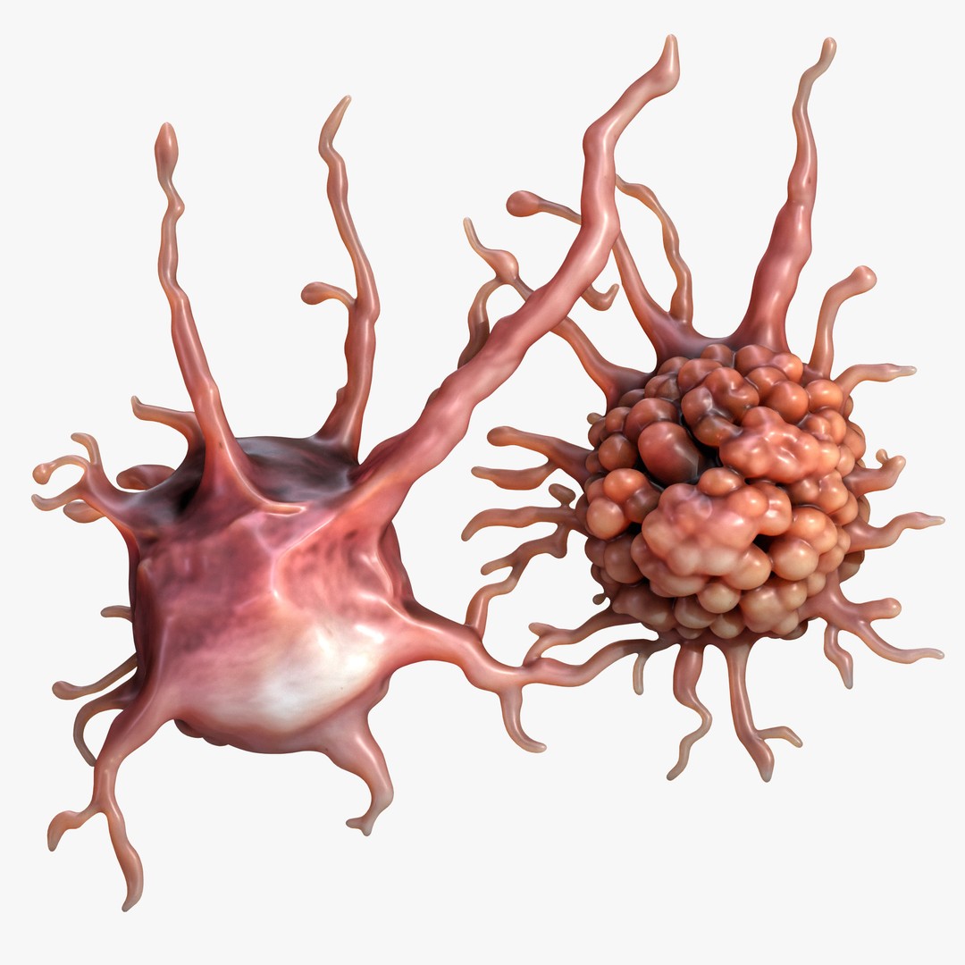 Cancer Cell Tumor 3D Model – High Poly PBR Asset, FBX, OBJ, Blender - View 7