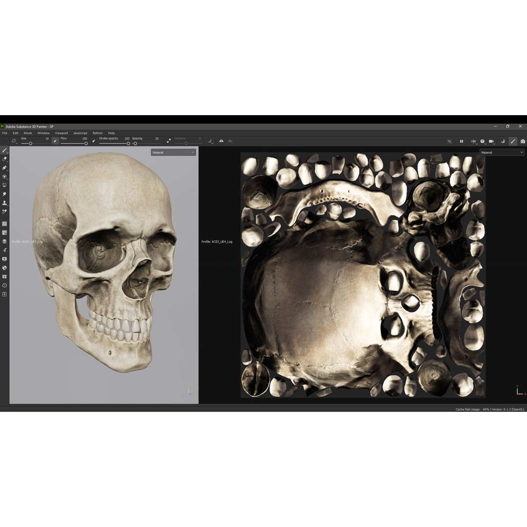 Skull 3D Model – Low Poly Game Asset with PBR Textures - View 13