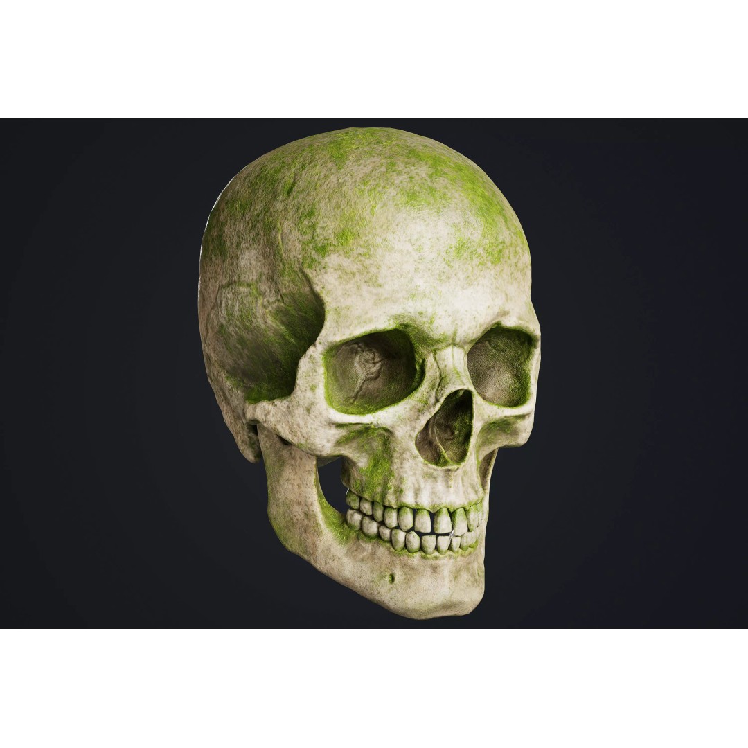 Skull 3D Model – Low Poly Game Asset with PBR Textures - View 2