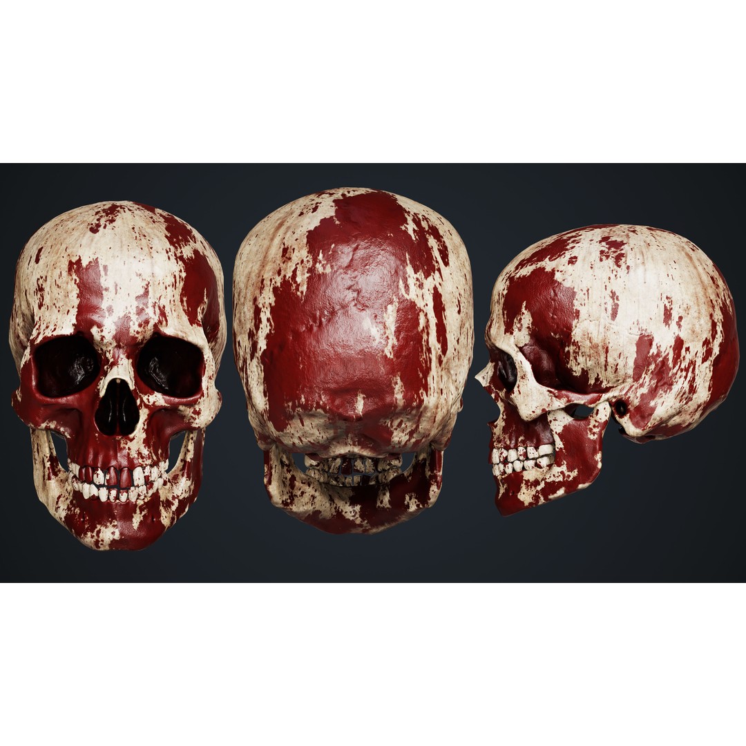 Skull 3D Model – Low Poly Game Asset with PBR Textures - View 6