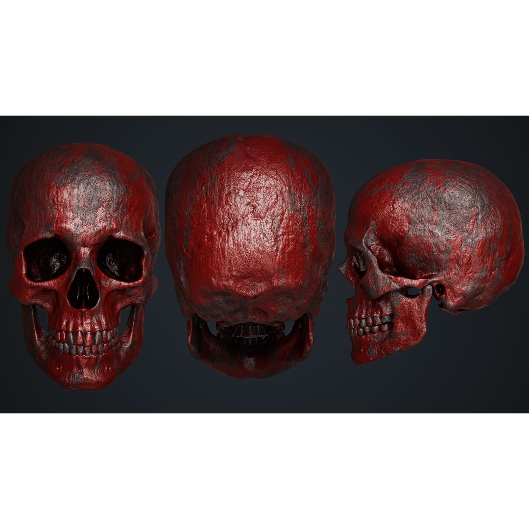 Skull 3D Model – Low Poly Game Asset with PBR Textures - View 9