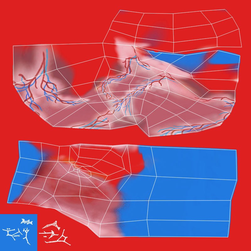 Human Cardiovascular System 3D Model – Animated Heart, PBR Textures, FBX