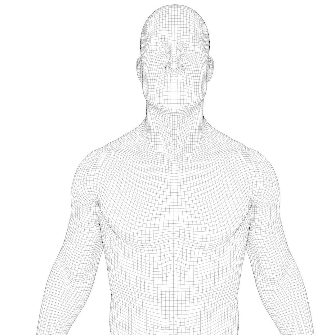 Respiratory System 3D Model – Realistic Anatomy Asset, PBR Textures - View 15