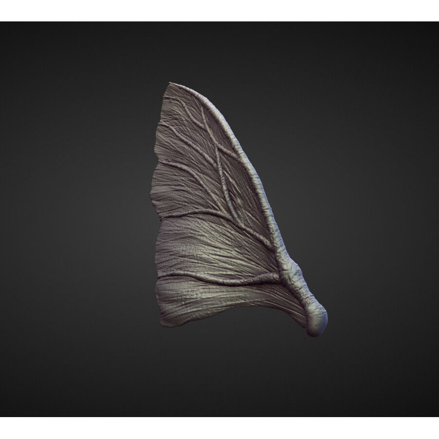 Wing 3D Model – High Poly Character Sculpt, OBJ Format