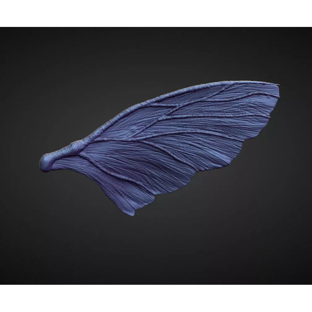Wing 3D Model – High Poly Character Sculpt, OBJ Format - View 2