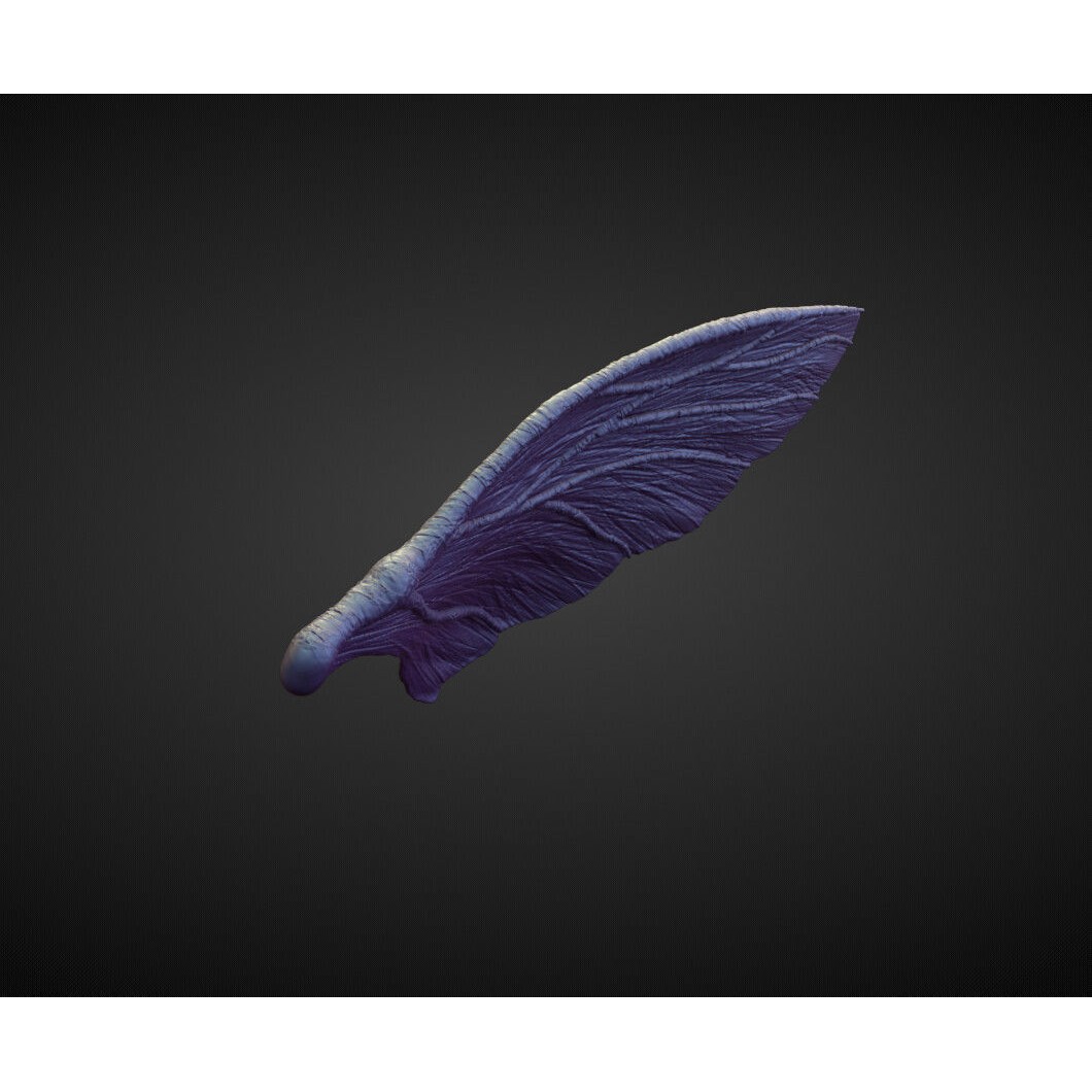 Wing 3D Model – High Poly Character Sculpt, OBJ Format - View 3