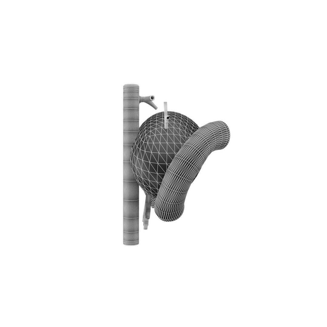 Human Pancreas 3D Model – Realistic Low-Poly Anatomy Asset, FBX - View 10