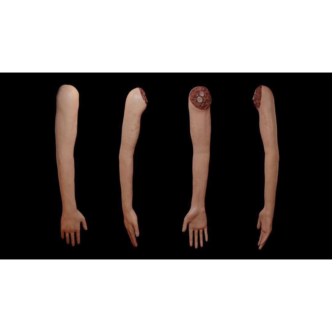 Severed Arm 3D Model – Rigged Low-Poly Horror Asset, FBX - View 4