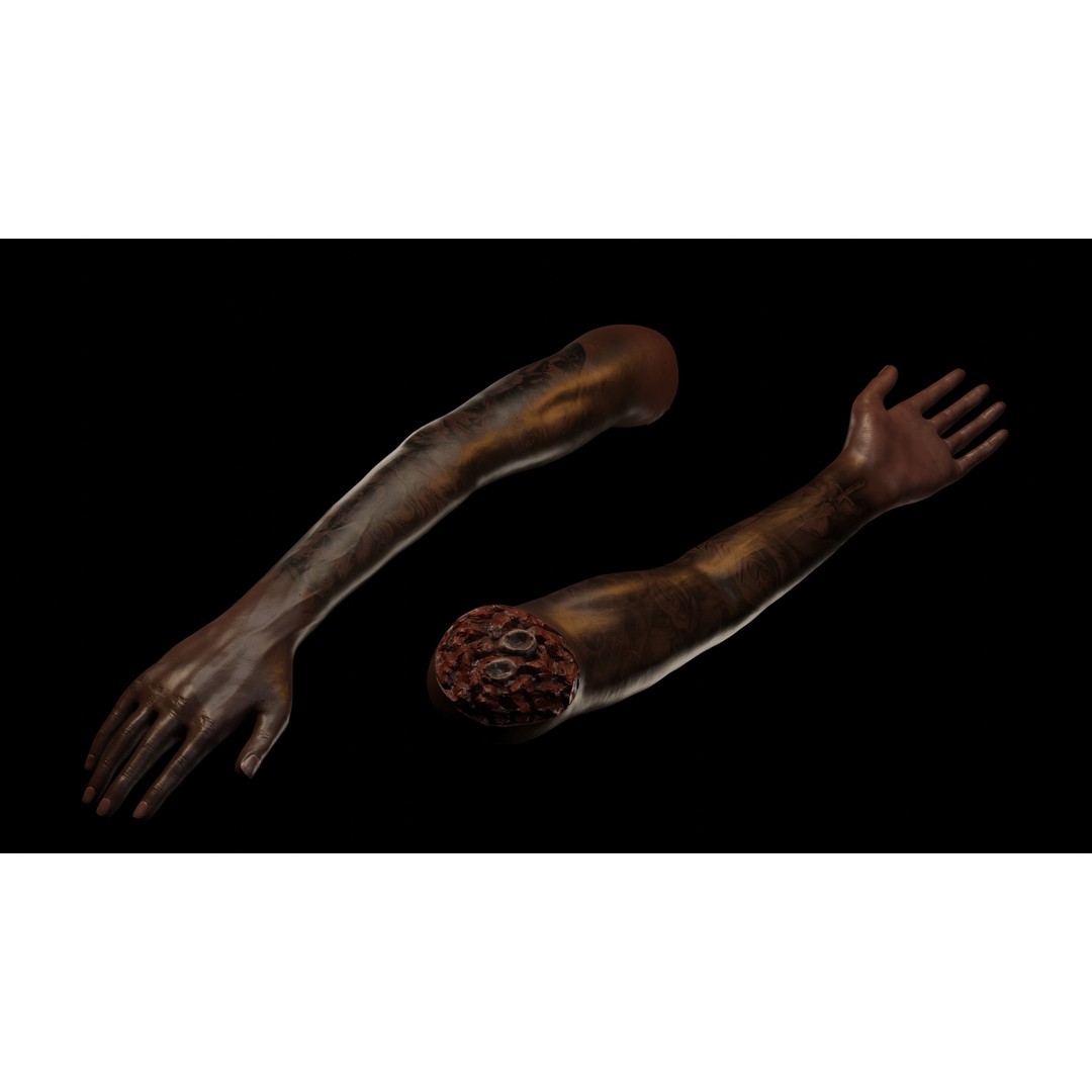 Severed Arm 3D Model – Rigged Low-Poly Horror Asset, FBX - View 7