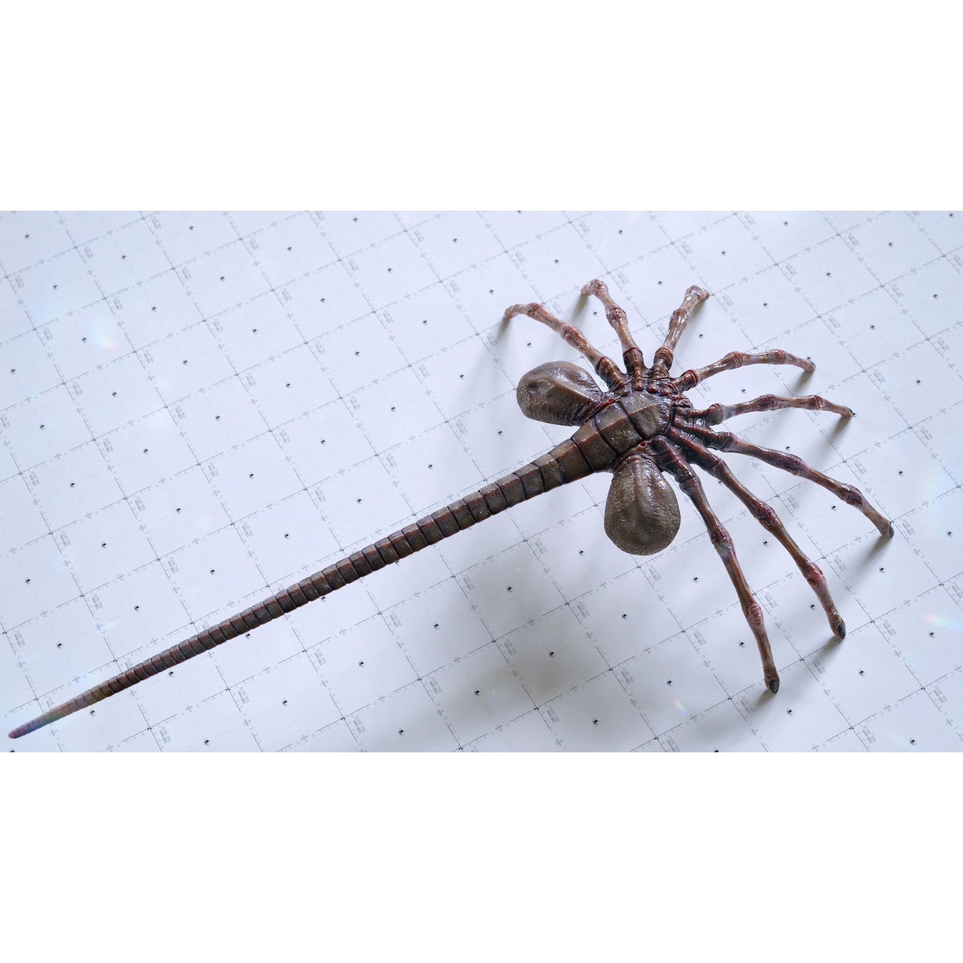 Alien Facehugger - Low-Poly Game-Ready 3D Model