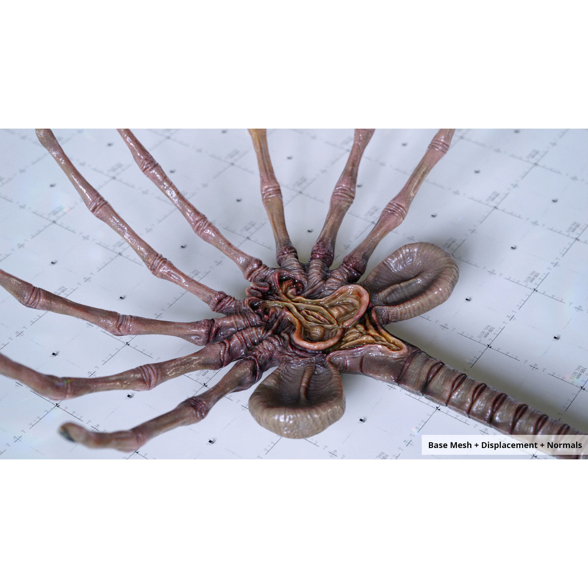 Alien Facehugger - Low-Poly Game-Ready 3D Model - View 10