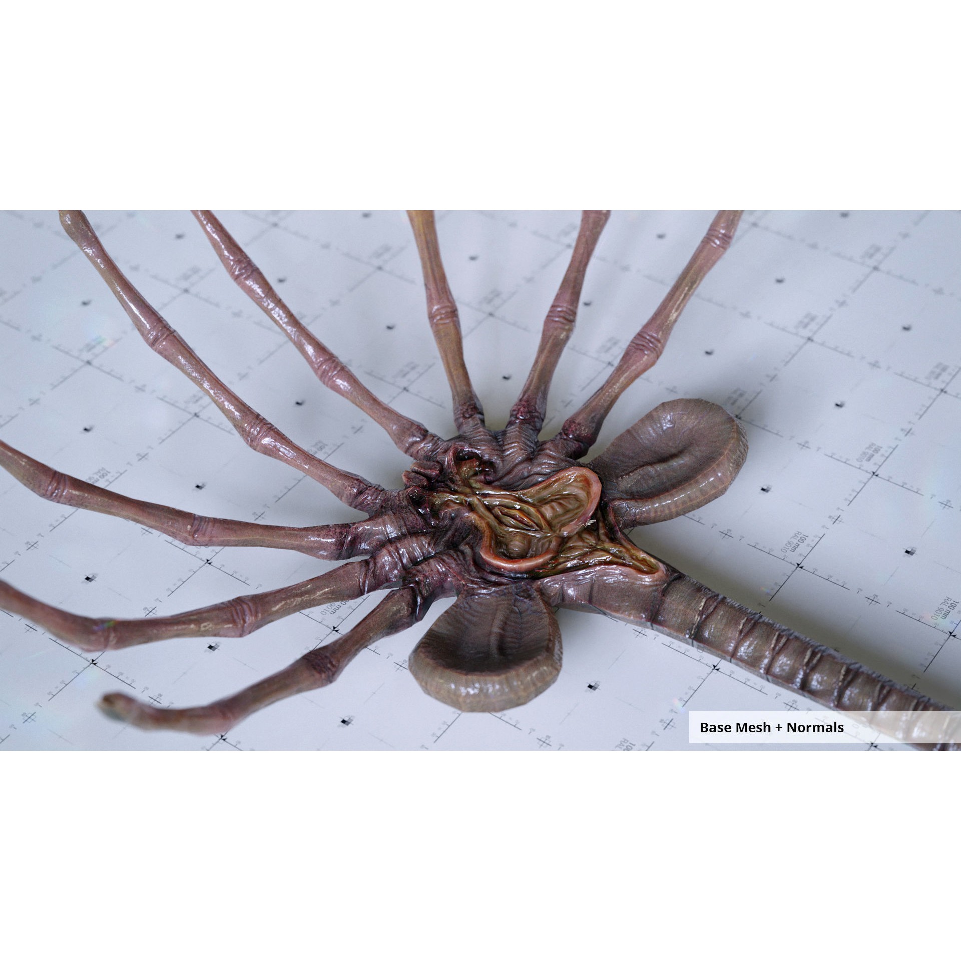 Alien Facehugger - Low-Poly Game-Ready 3D Model - View 11