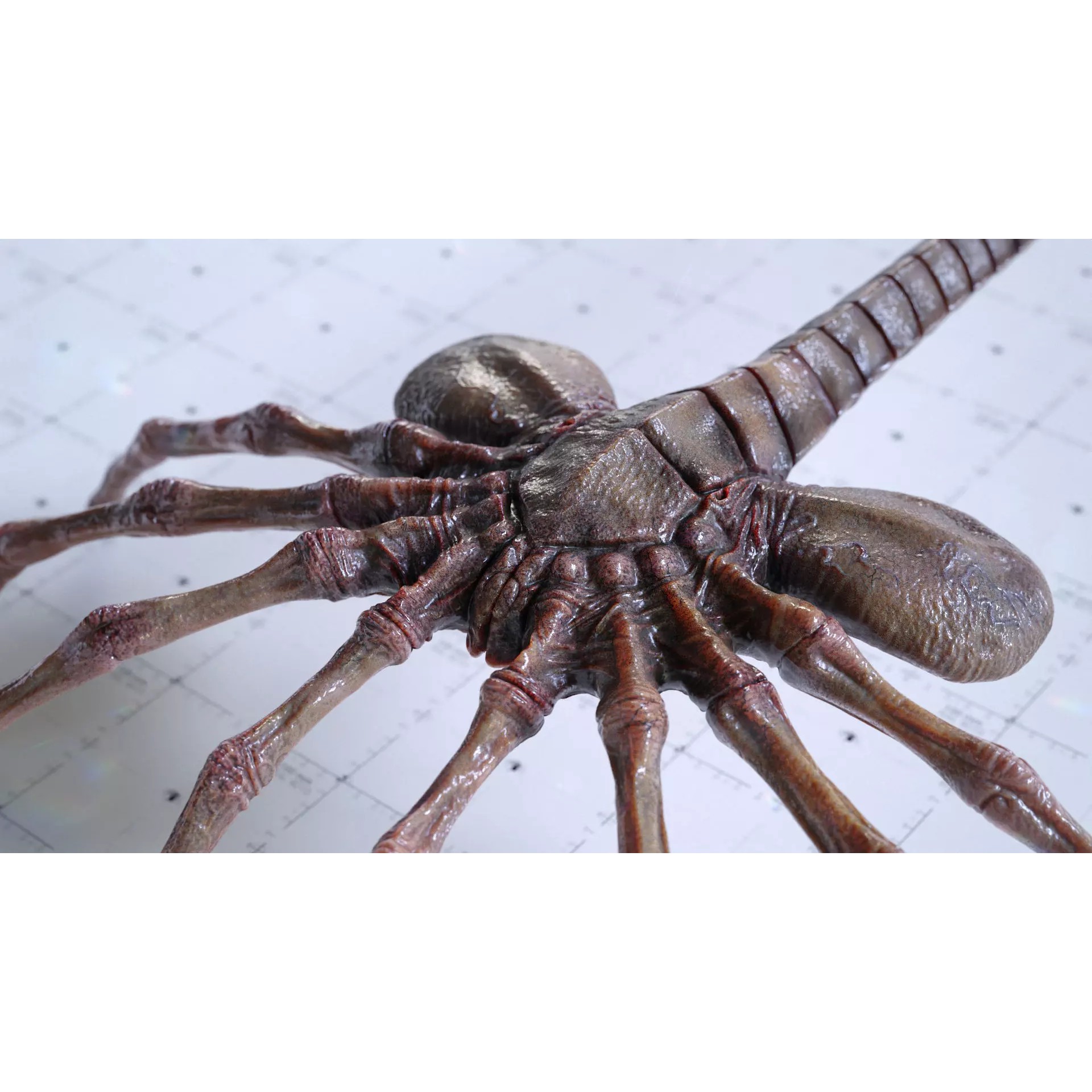 Alien Facehugger - Low-Poly Game-Ready 3D Model - View 2