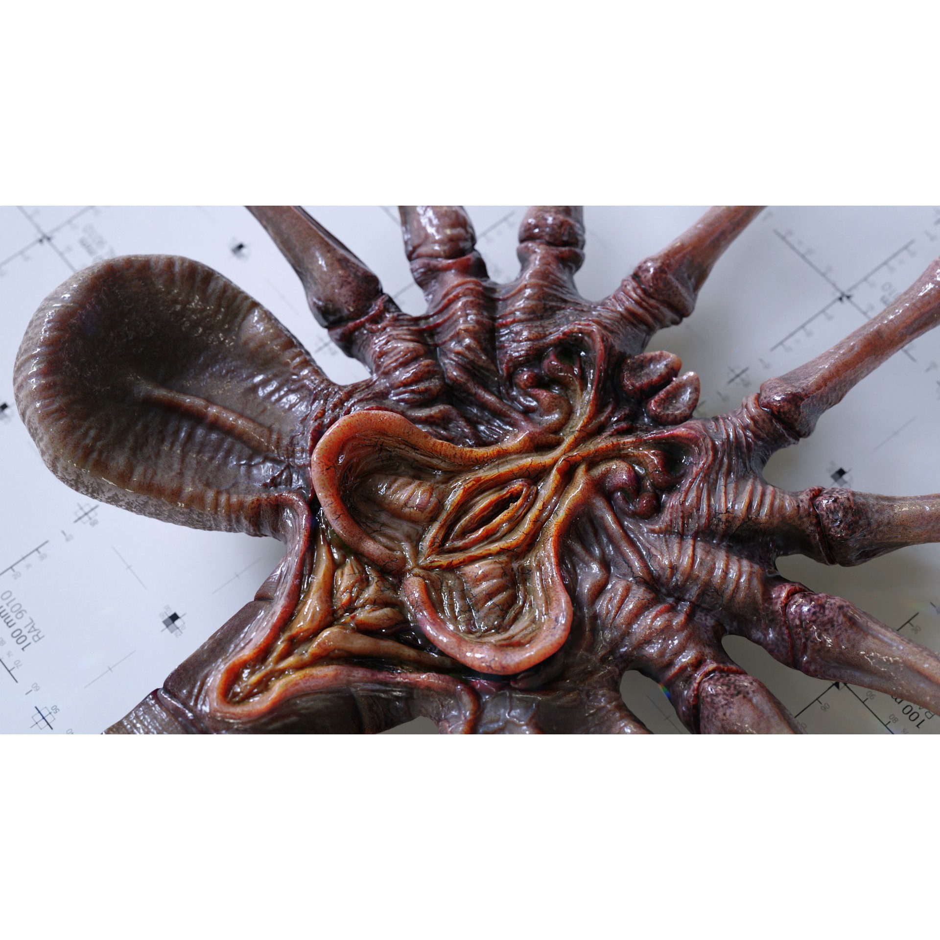 Alien Facehugger - Low-Poly Game-Ready 3D Model - View 3