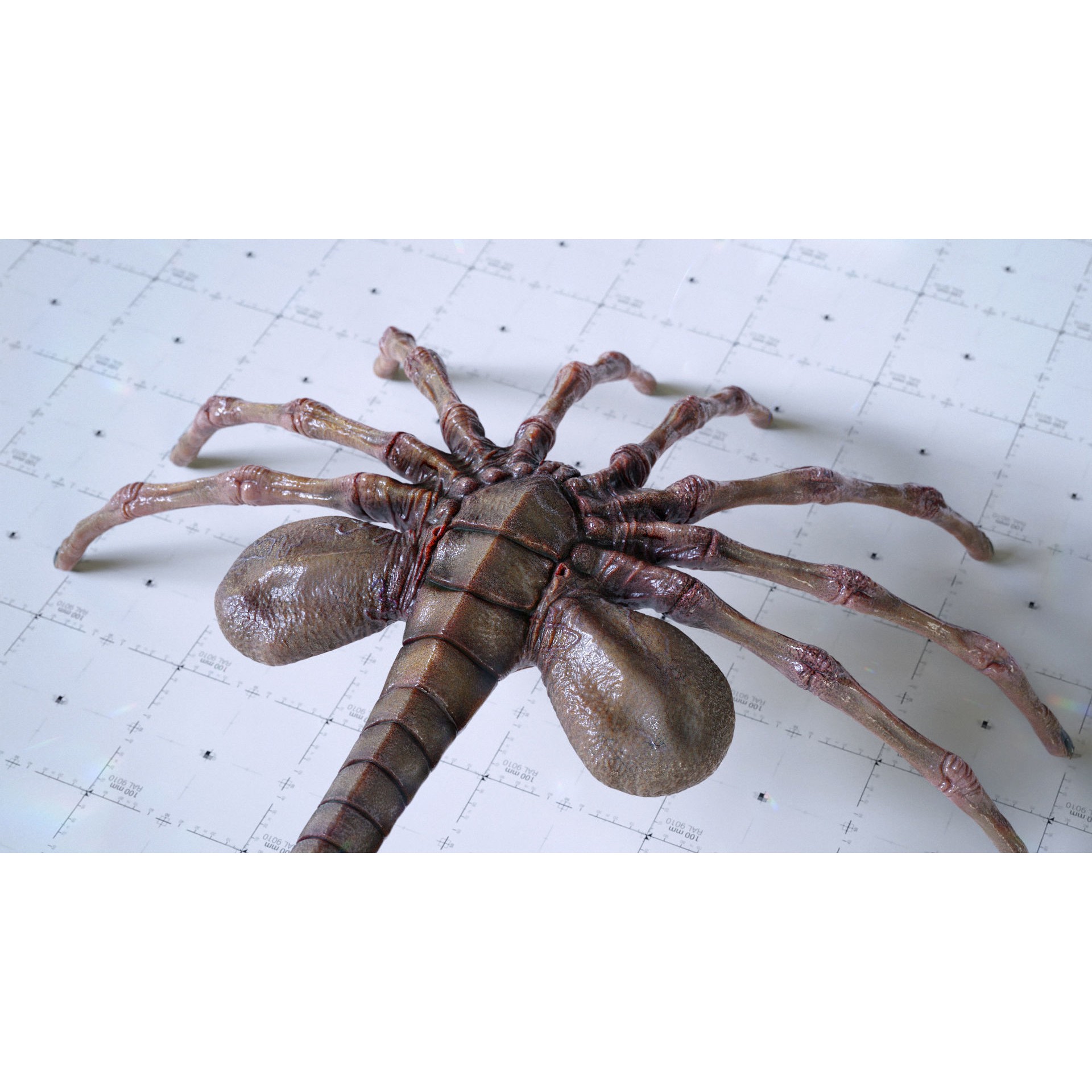 Alien Facehugger - Low-Poly Game-Ready 3D Model - View 4