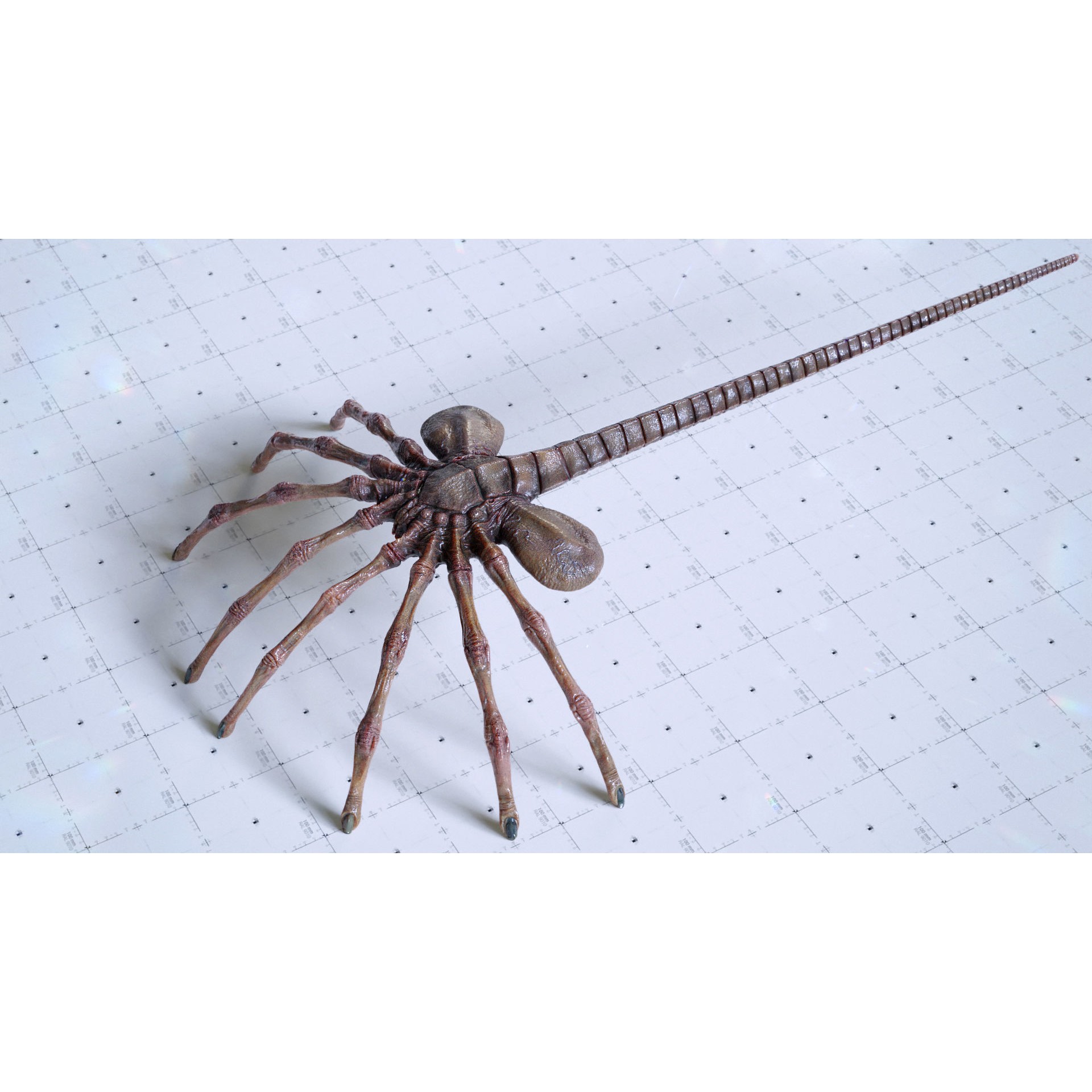 Alien Facehugger - Low-Poly Game-Ready 3D Model - View 5