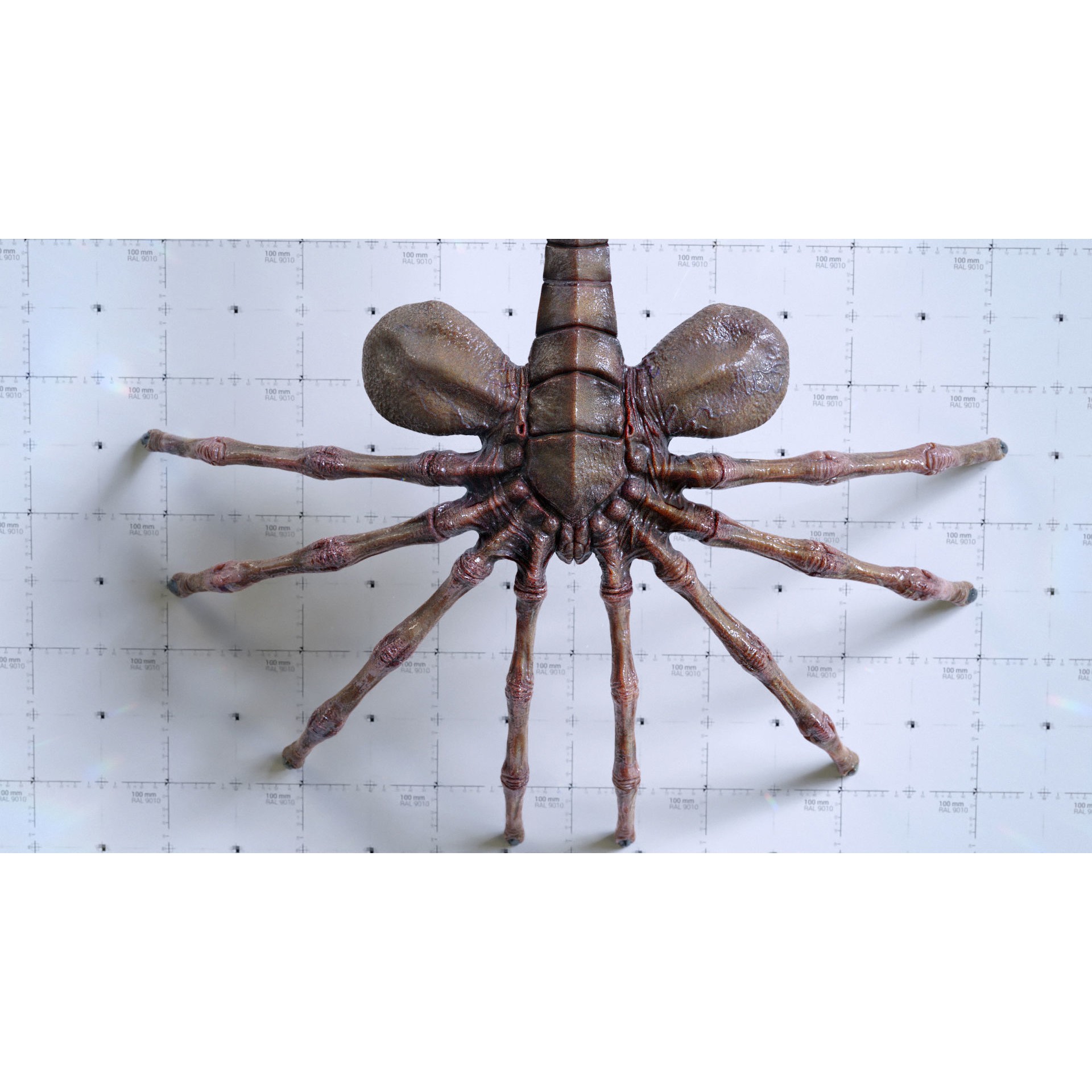 Alien Facehugger - Low-Poly Game-Ready 3D Model - View 6