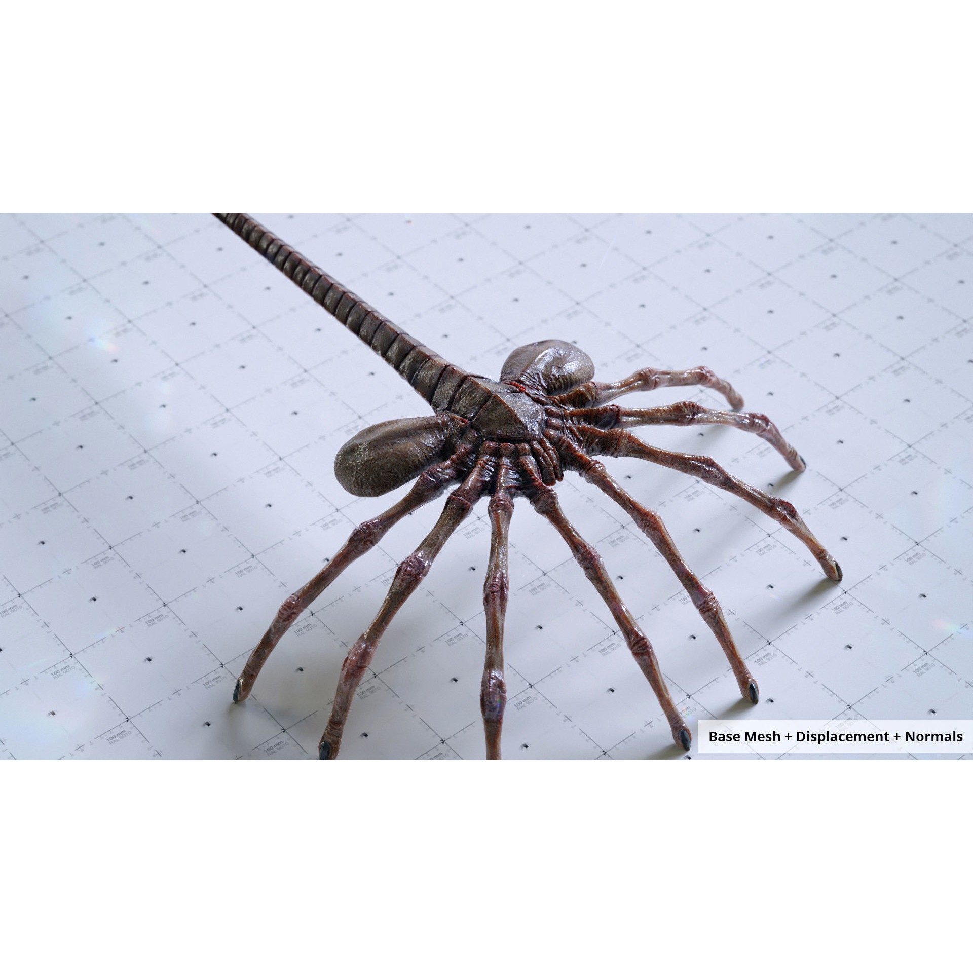 Alien Facehugger - Low-Poly Game-Ready 3D Model - View 7