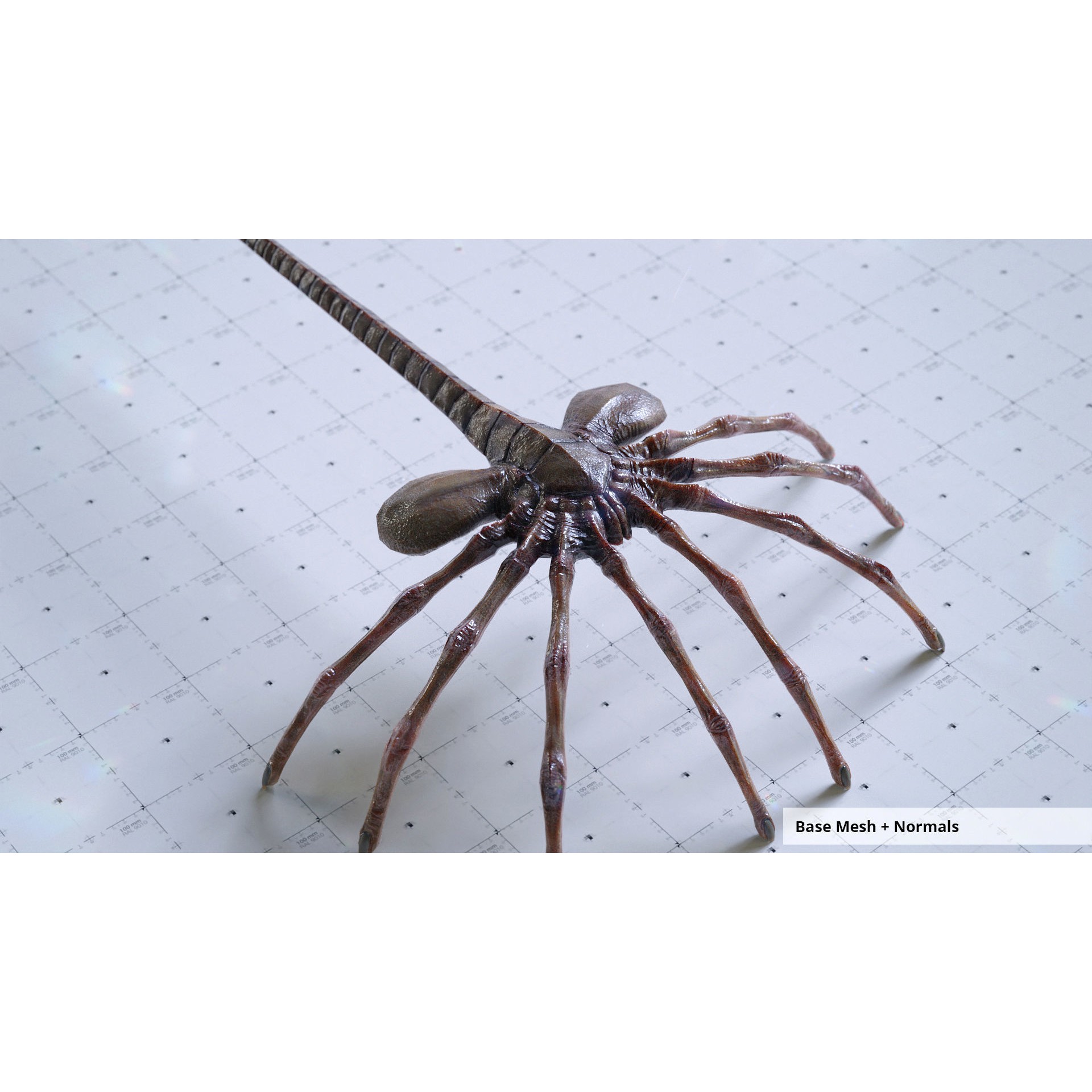 Alien Facehugger - Low-Poly Game-Ready 3D Model - View 8