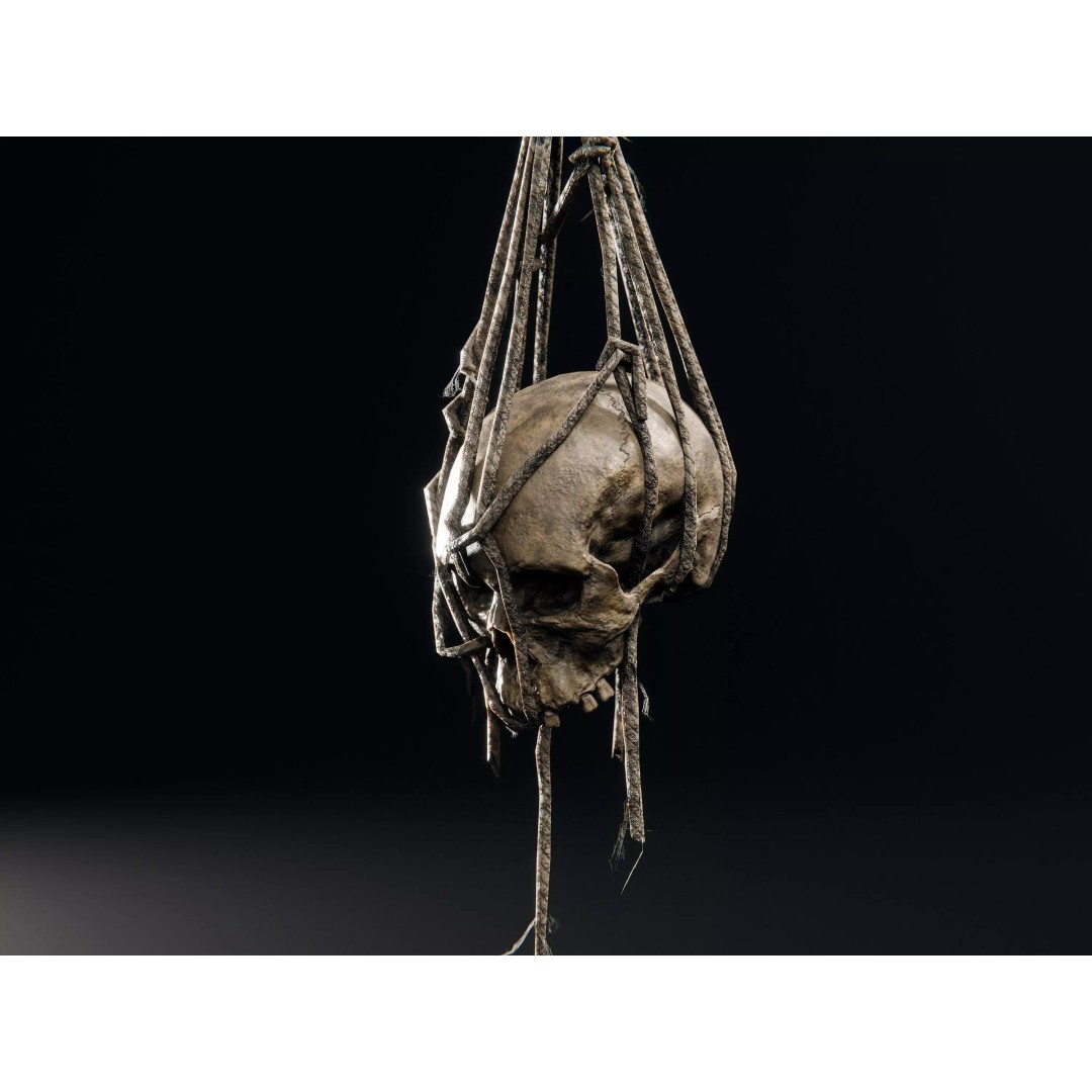 Skull 3D Model – Low Poly Decoration Asset with PBR Textures, FBX - View 10