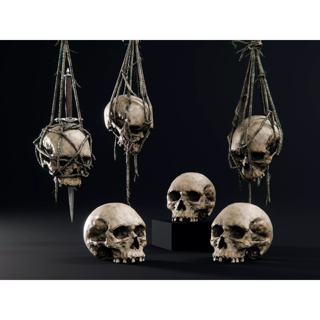 Skull 3D Model – Low Poly Decoration Asset with PBR Textures, FBX - View 2